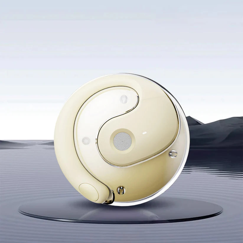 AI Translation Earbuds