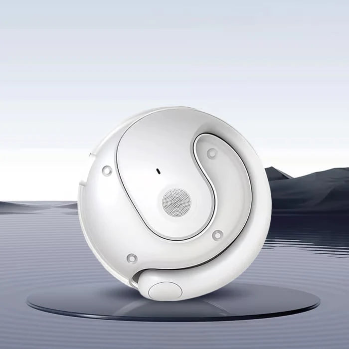 AI Translation Earbuds